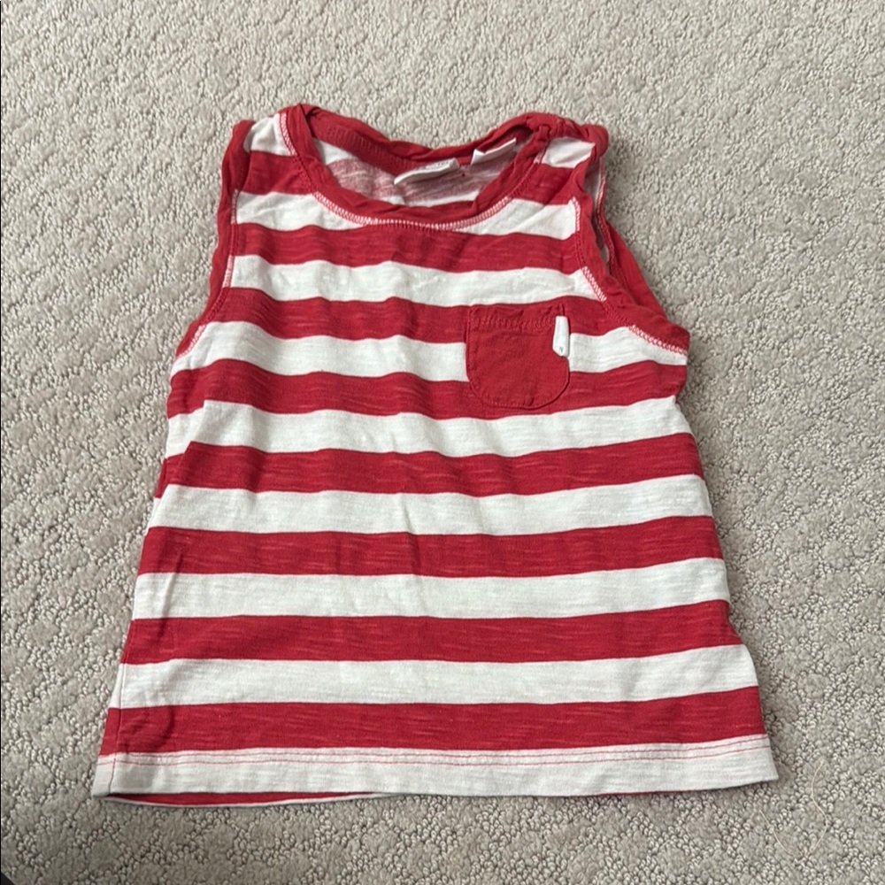 Zara Red and White Striped Tank Top